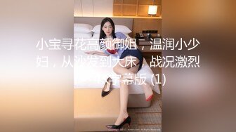 小宝寻花高颜御姐，温润小少妇，从沙发到大床，战况激烈！--4K字幕版 (1)